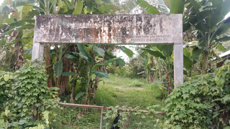 Makam panglima Wahab di Gampong Leupung Bale Kecamatan Kuta Cot Glie Aceh Besar Selasa 27052025 FOTOMC ACEH BESAR KETIKKABARcom Makam panglima Wahab di Gampong Leupung Bale Kecamatan Kuta Cot Glie Aceh Besar Selasa 27052025 FOTOMC ACEH BESAR