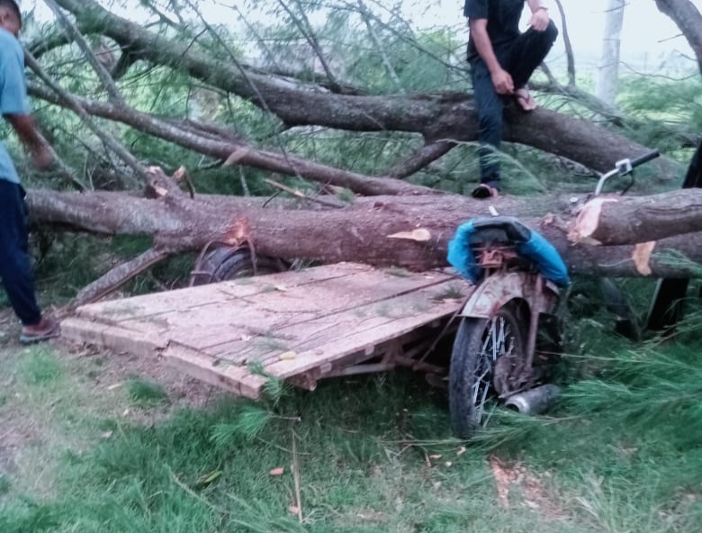 Pohon tumbang menimpa sebuah becak di jalan makan TNyak Arif Gampong Meunasah Papeun Kec Krueng Barona Jaya Kab Aceh Besar KETIKKABARcom KETIKKABARcom Pohon tumbang menimpa sebuah becak di jalan makan TNyak Arif Gampong Meunasah Papeun Kec Krueng Barona Jaya Kab Aceh Besar KETIKKABARcom